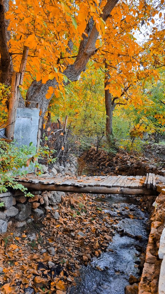 Photograph by Atefe Ghaderi