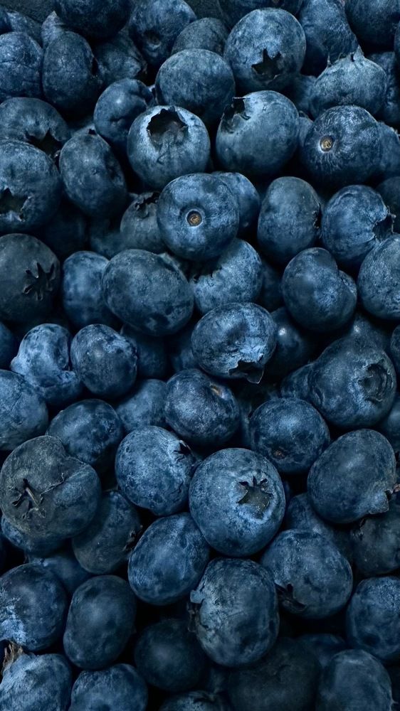 Фотография автора Anna Tikka