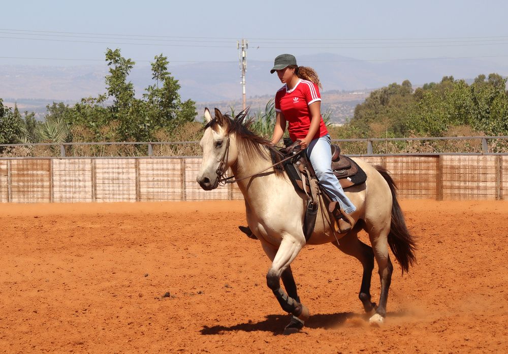 Photograph by Drora Baharal