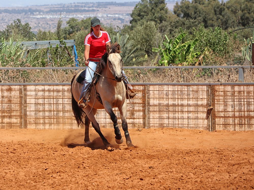 Photograph by Drora Baharal