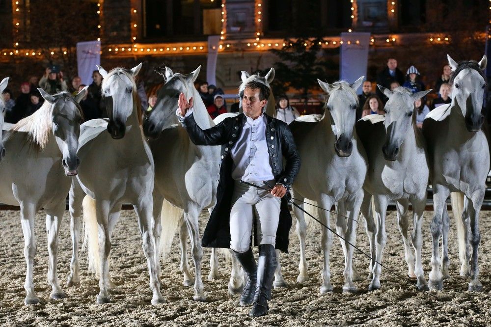 Photograph by Михаил Зильбер