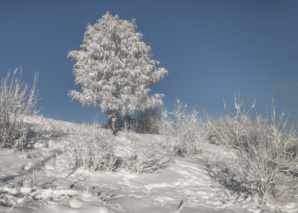Photograph by Cергей Черныш