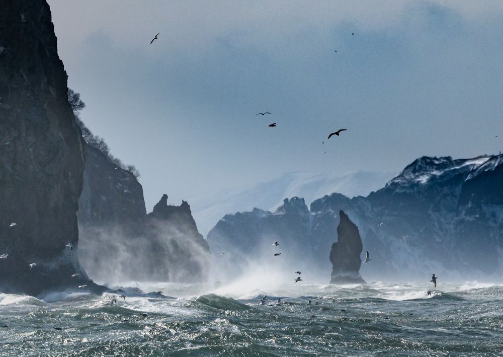 Photograph by Евгений Владимиров