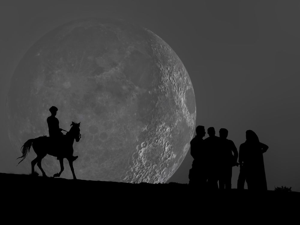 Photograph by MMD HORANFAR