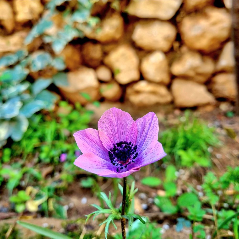 Photograph by Atefe Ghaderi