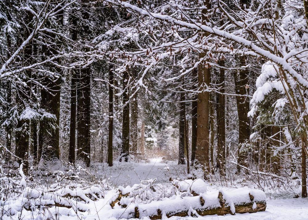 Преображение