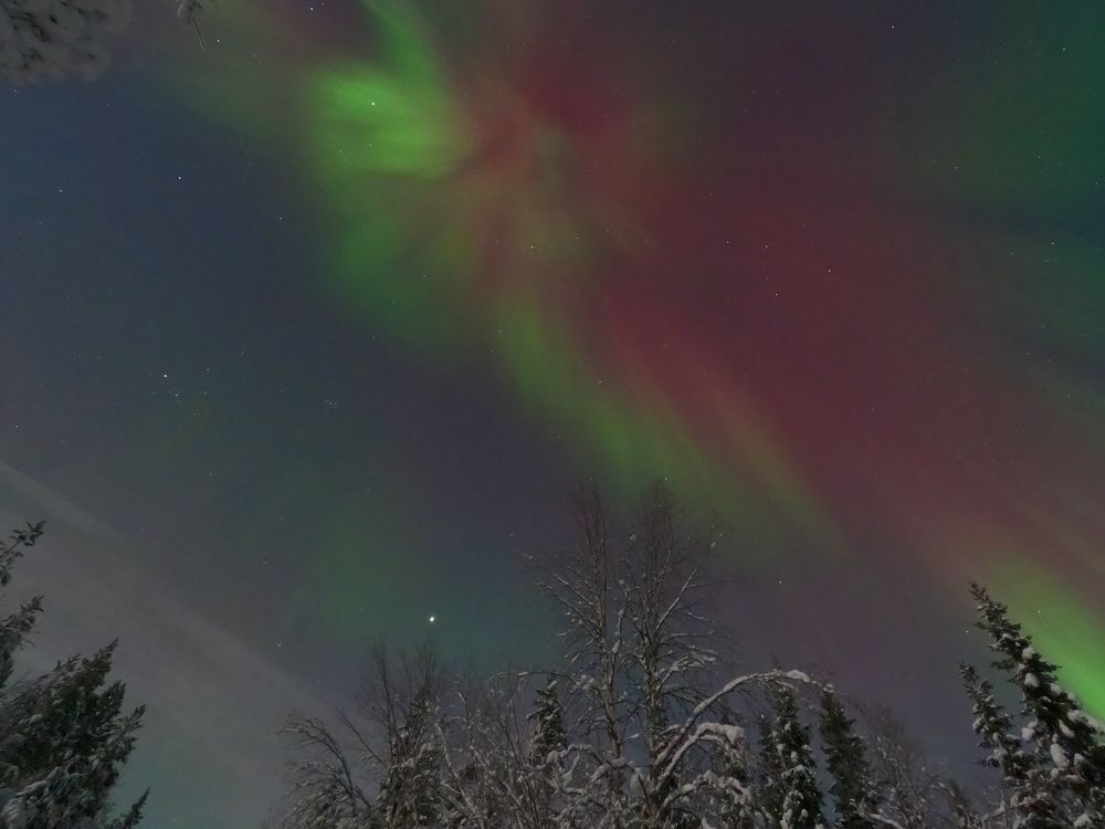 Photograph by Елена