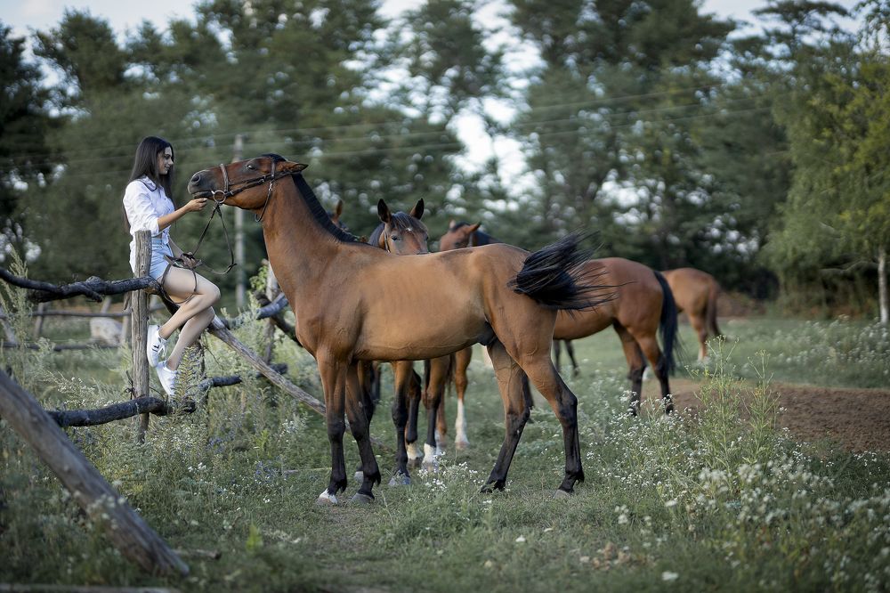 Photograph by Сергей Хрулев
