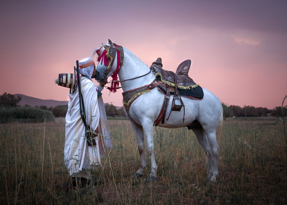 Фотография автора Mohssein Hadj