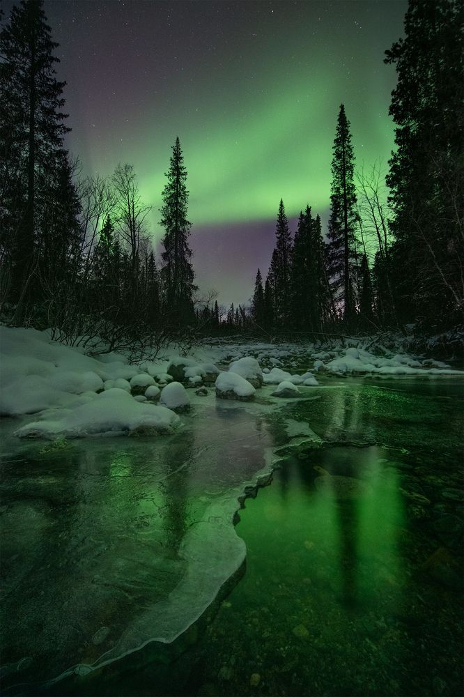 Photograph by Елена Ермолина