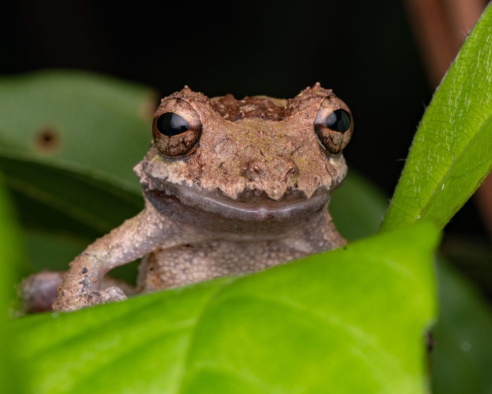 Photograph by Mateo García Mejía