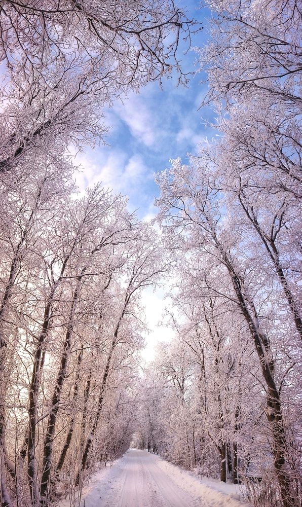 Photograph by Владимир Микрокосмос