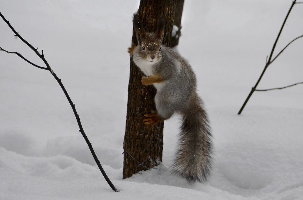 Здравствуй!