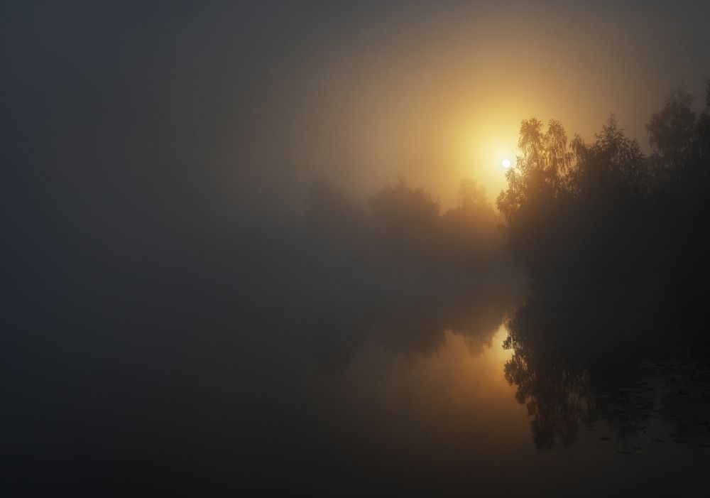 Photograph by Анастасия Крылова