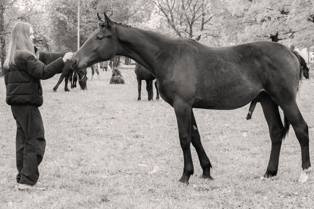 Photograph by Алексей Борисов