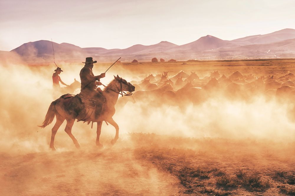 Photograph by kimia shad