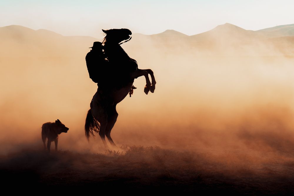 Photograph by kimia shad