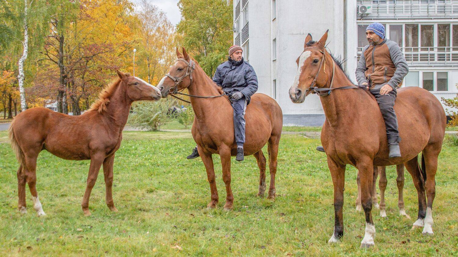 Фотография #9977400