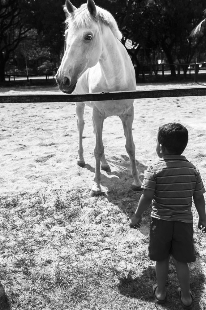 Photograph by roselino de oliveira rocha