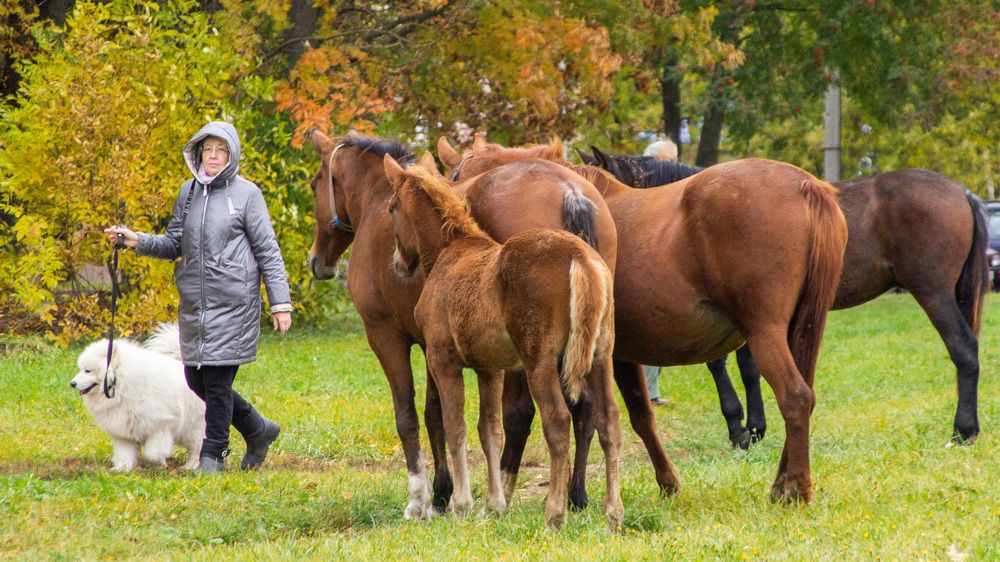 Photograph by Алексей Борисов