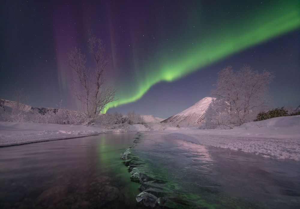 Photograph by Елена Ермолина