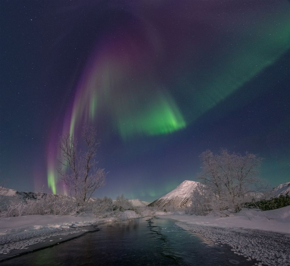 Photograph by Елена Ермолина