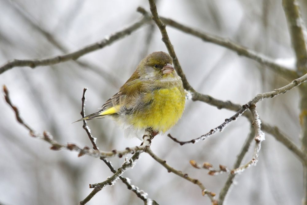 Photograph by Владимир Микрокосмос