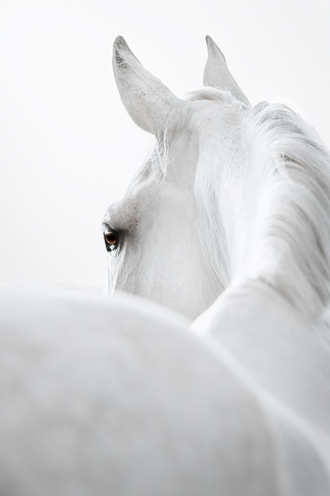 Photograph by Lenka Šilhová