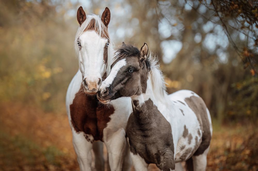 Photograph by Lenka Šilhová