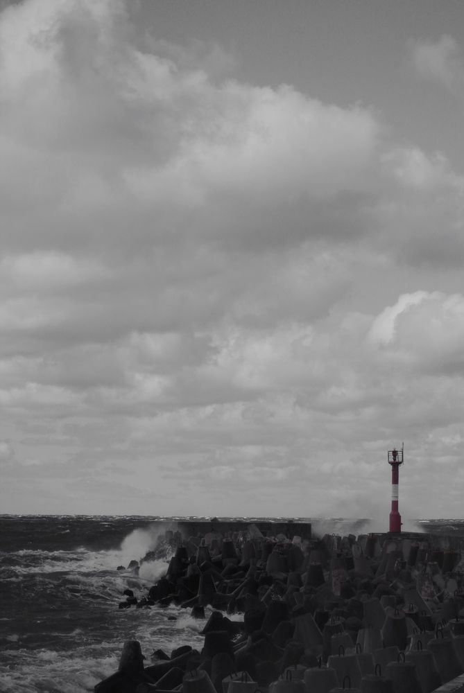 Фотография автора Анна Тищенко