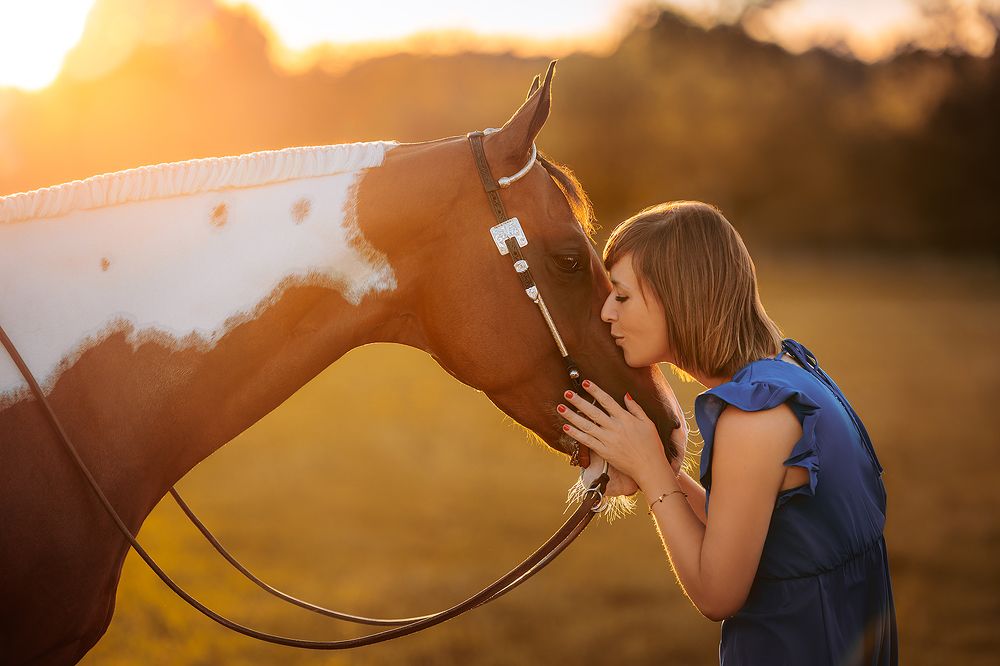In the glimmering sun