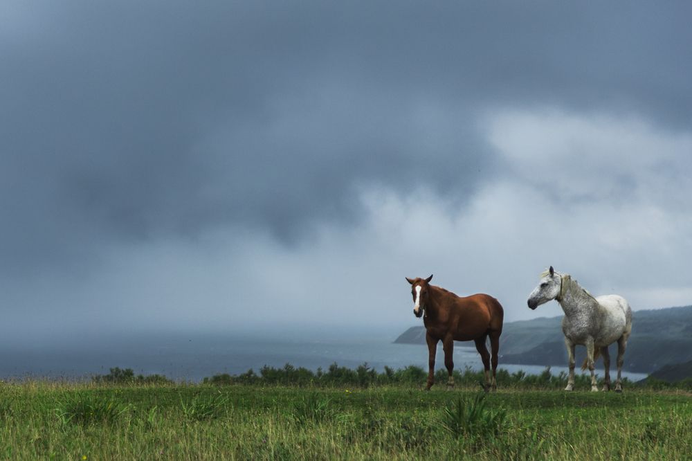 Фотография автора Ксения Зайцева