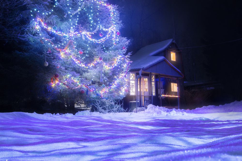 Фотография автора Ксения Зайцева