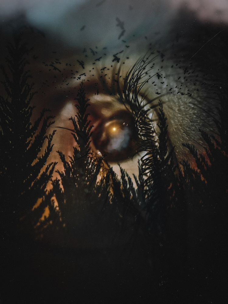 Photograph by Ganna Lobodenko