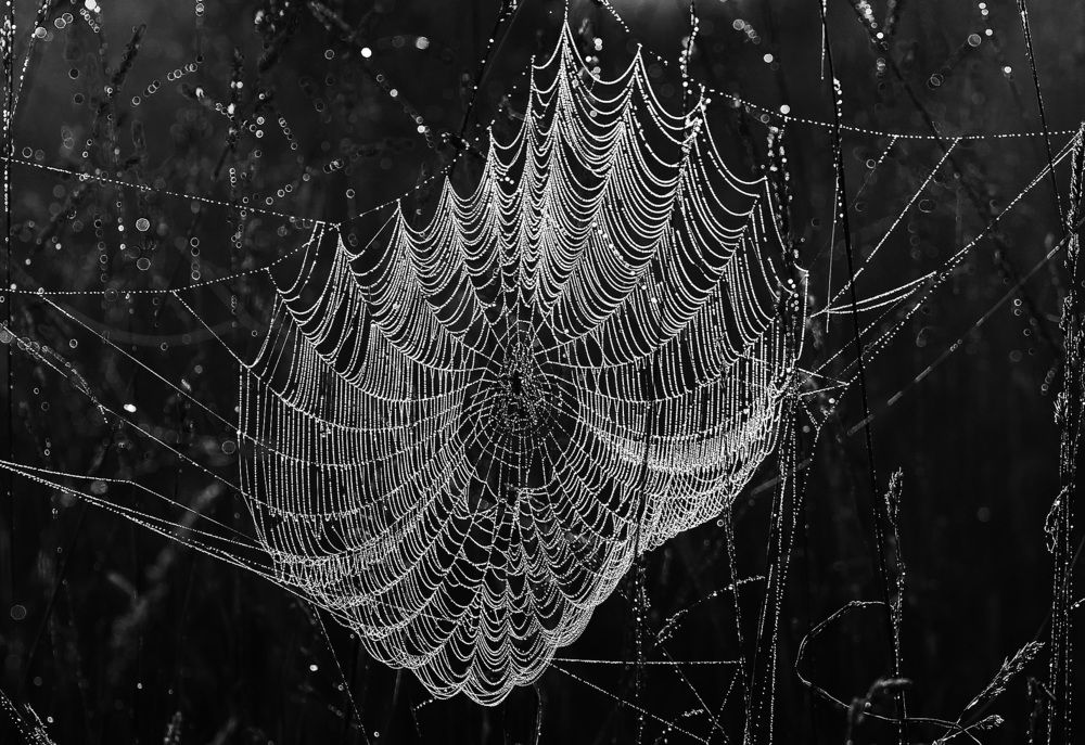 Фотография автора Александр