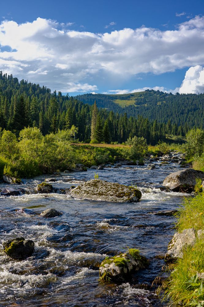 Photograph by Князев Сергей