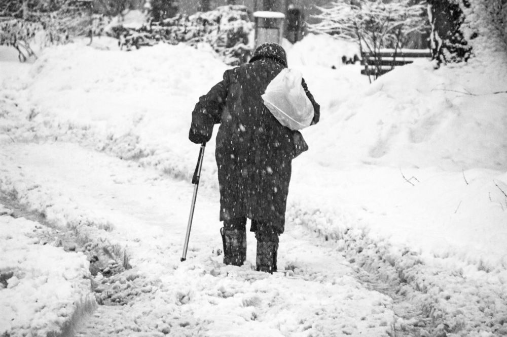 Photograph by Алексей Борисов