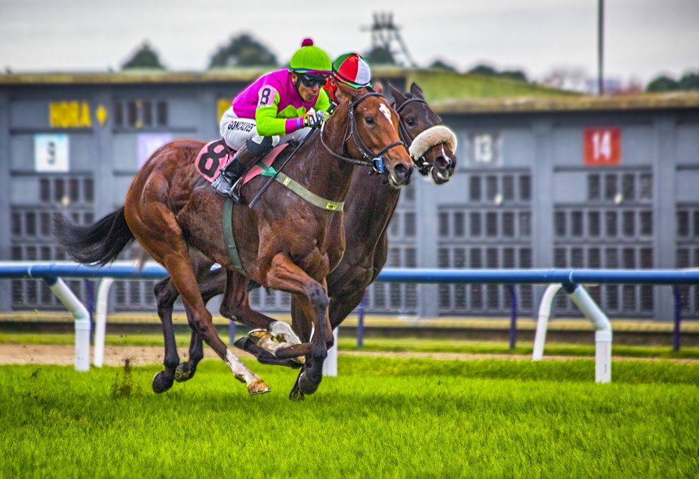 Фотография автора Marina Martorelli