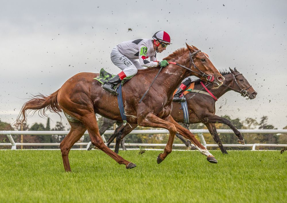 Фотография автора Marina Martorelli