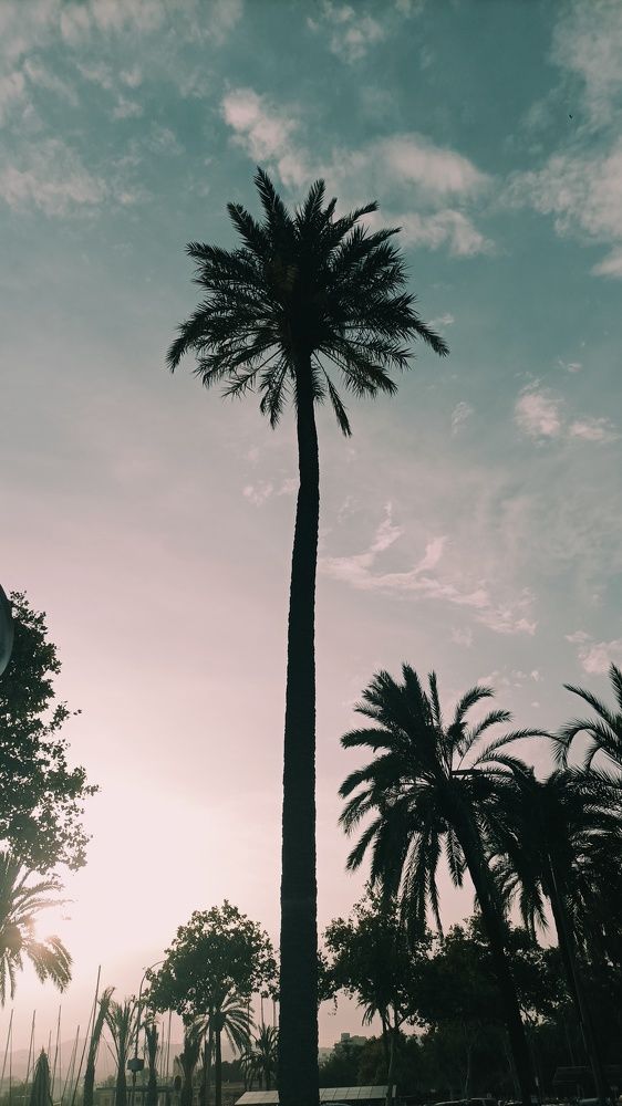 Photograph by David García