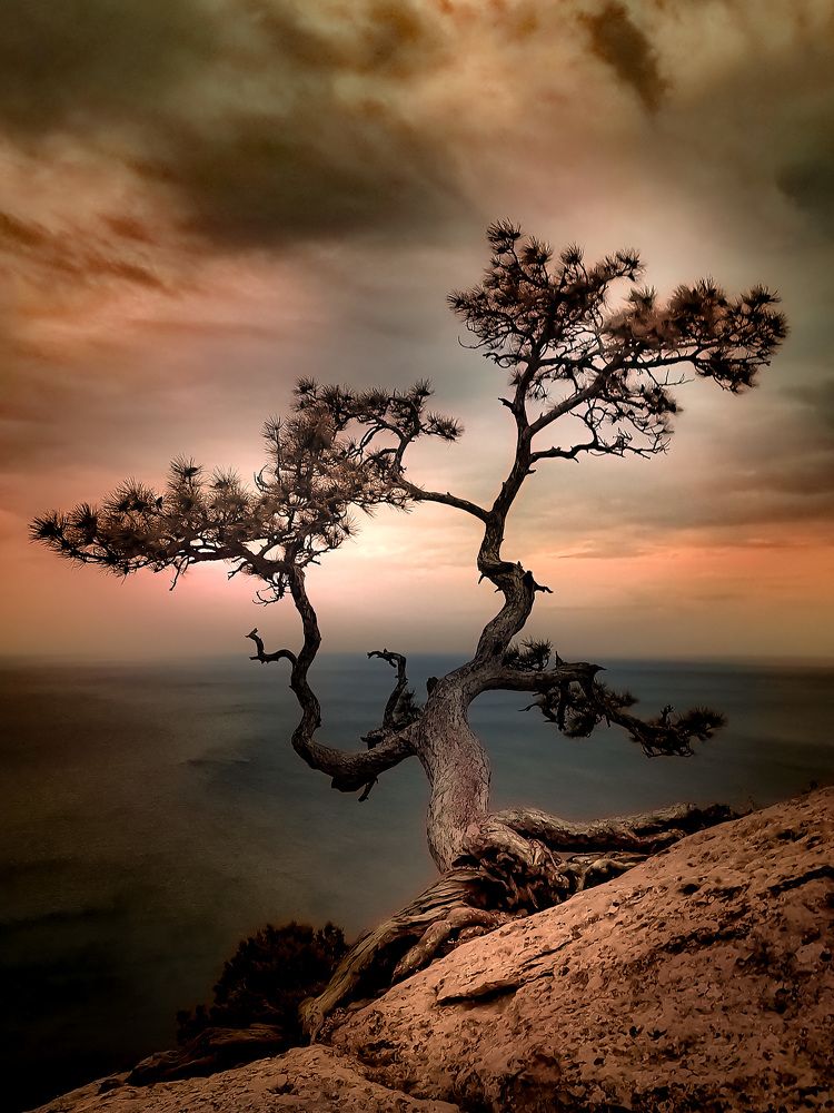 Photograph by Александр Разумов