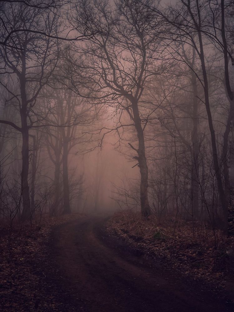 Photograph by Владимир Кульбит