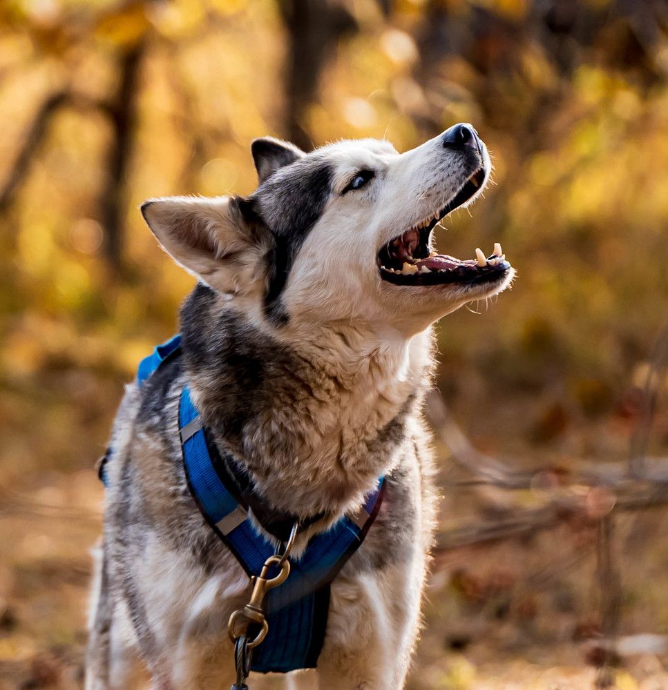 Photograph by Ольга Ченцова