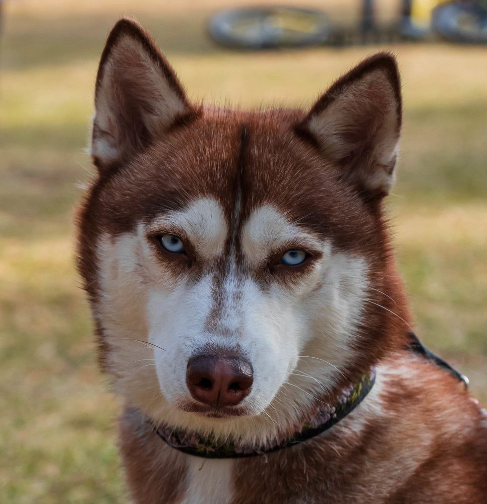 Photograph by Ольга Ченцова