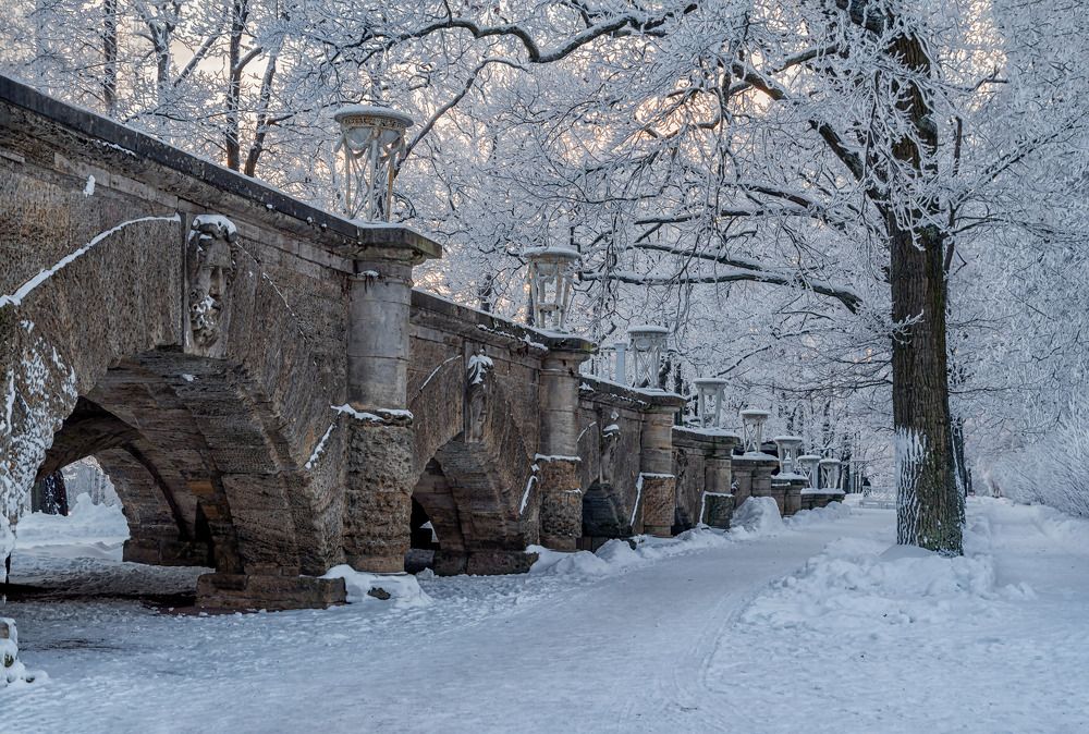 Фотография автора Ольга Егунова