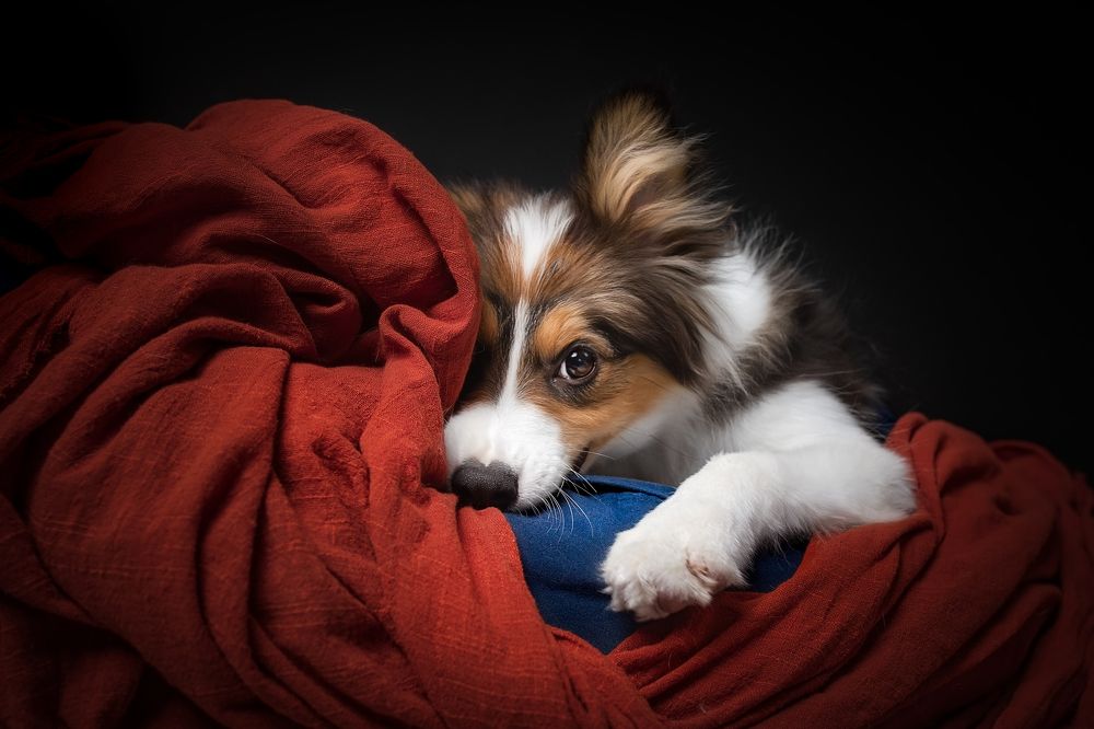 Photograph by luwenyi