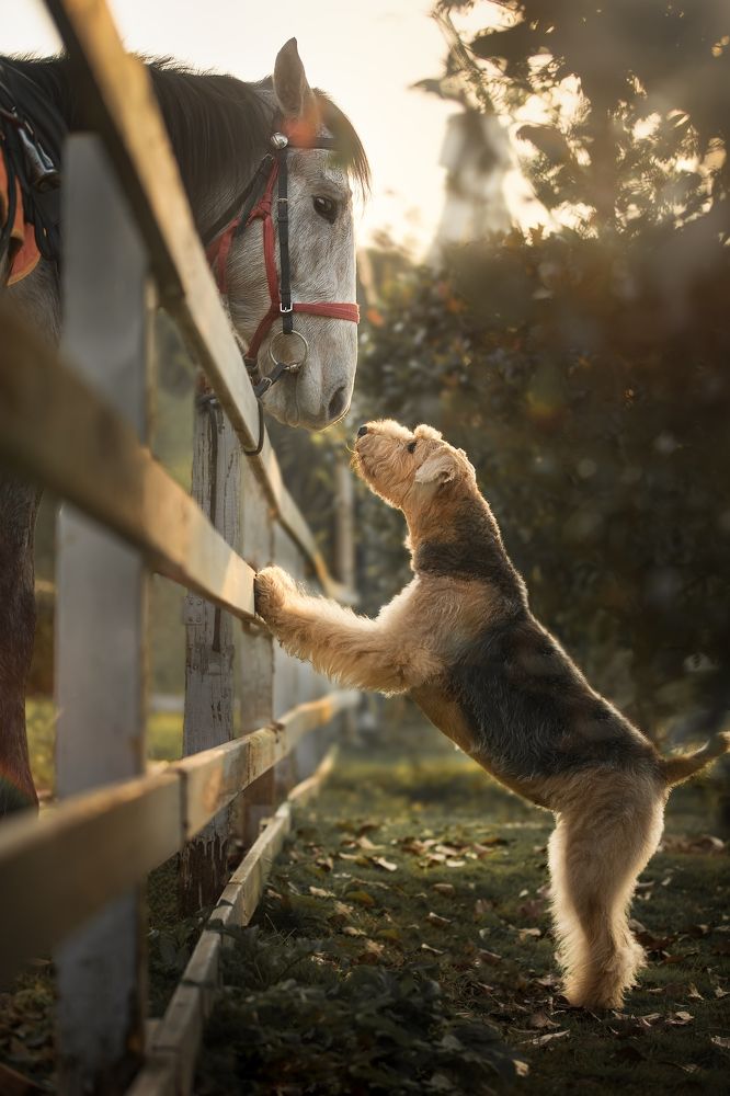 Photograph by luwenyi