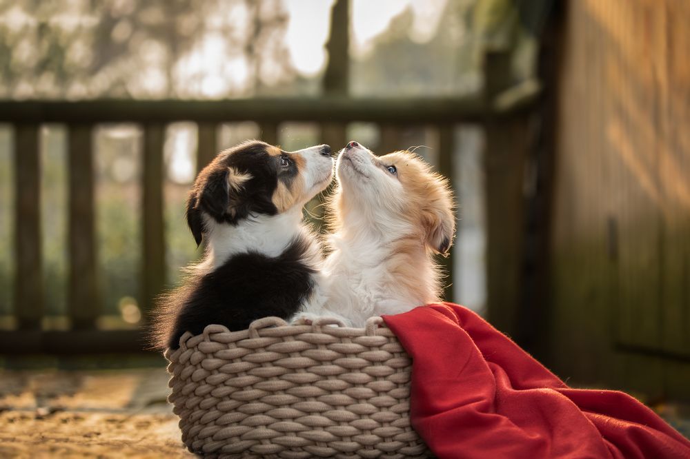 Photograph by luwenyi