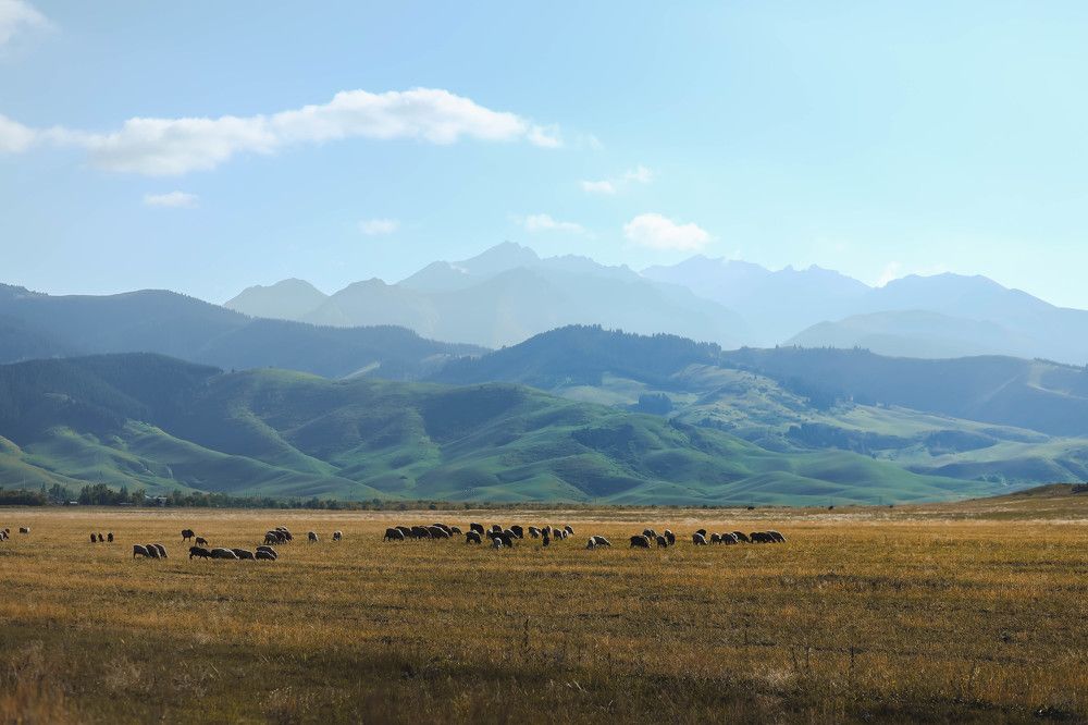 Photograph by Елизавета Веревкина