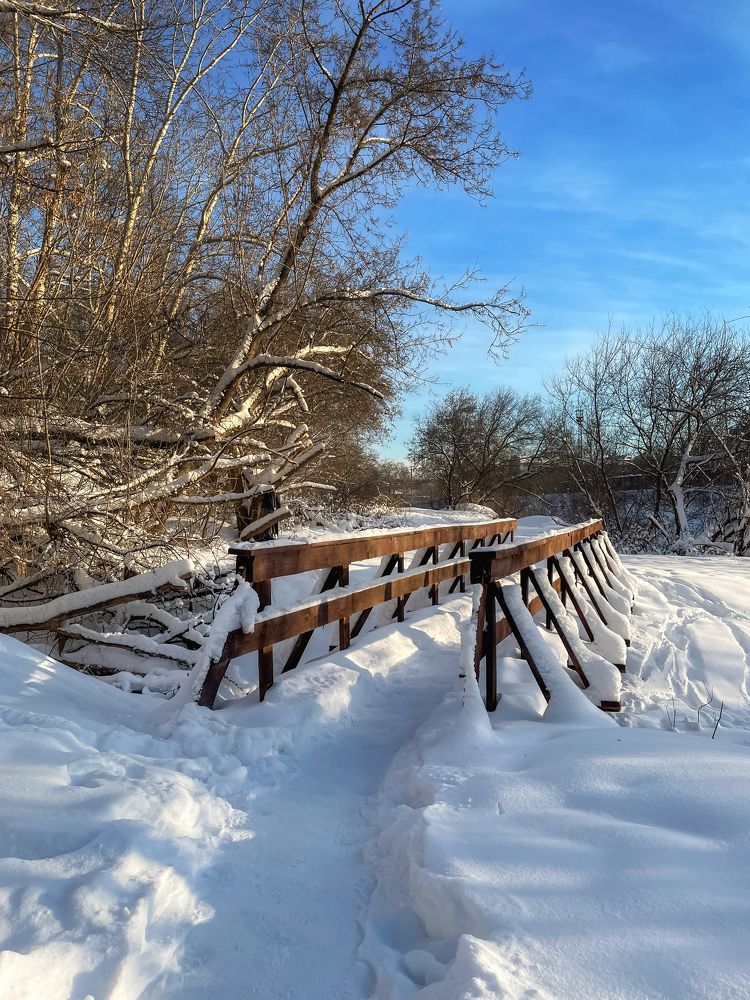 Зимний день